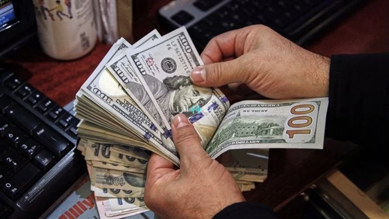 تأثير مستجدات سعر الدولار في البنوك الحكومية والخاصة على حركة السوق والاقتصاد